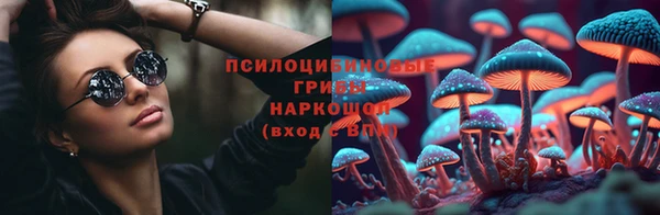 дживик Нефтекумск