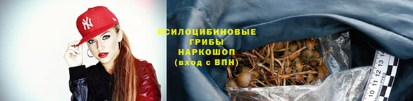 дживик Нефтекумск