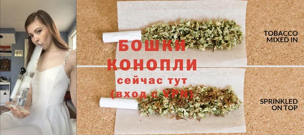 дживик Нефтекумск