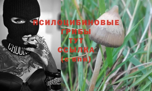 дживик Нефтекумск